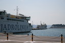 gal/cro 08/_thb_small-IMG_4500.JPG